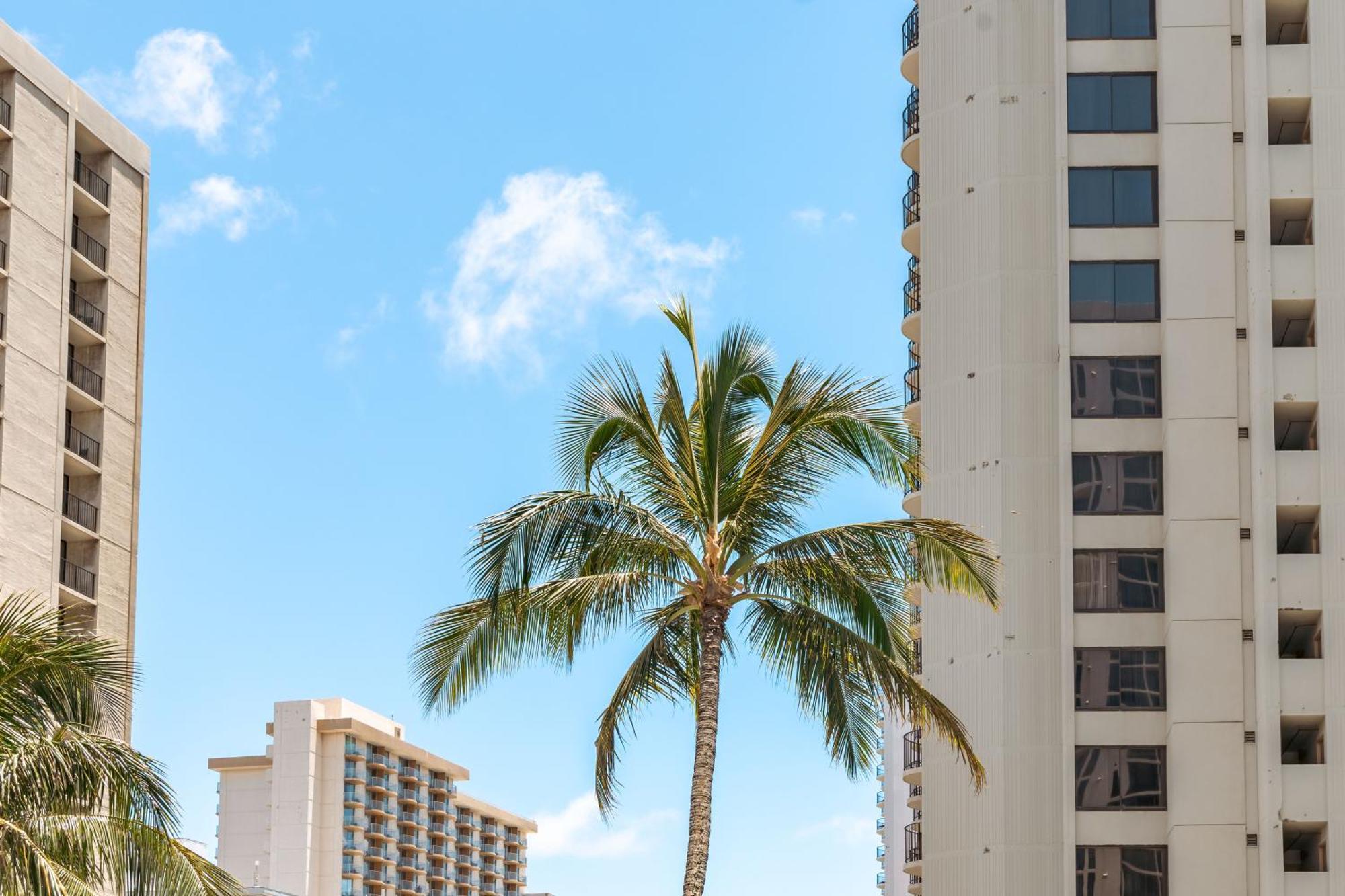 Beautiful 1Br, Steps To Waikiki Beach And Parking Χονολουλού Εξωτερικό φωτογραφία