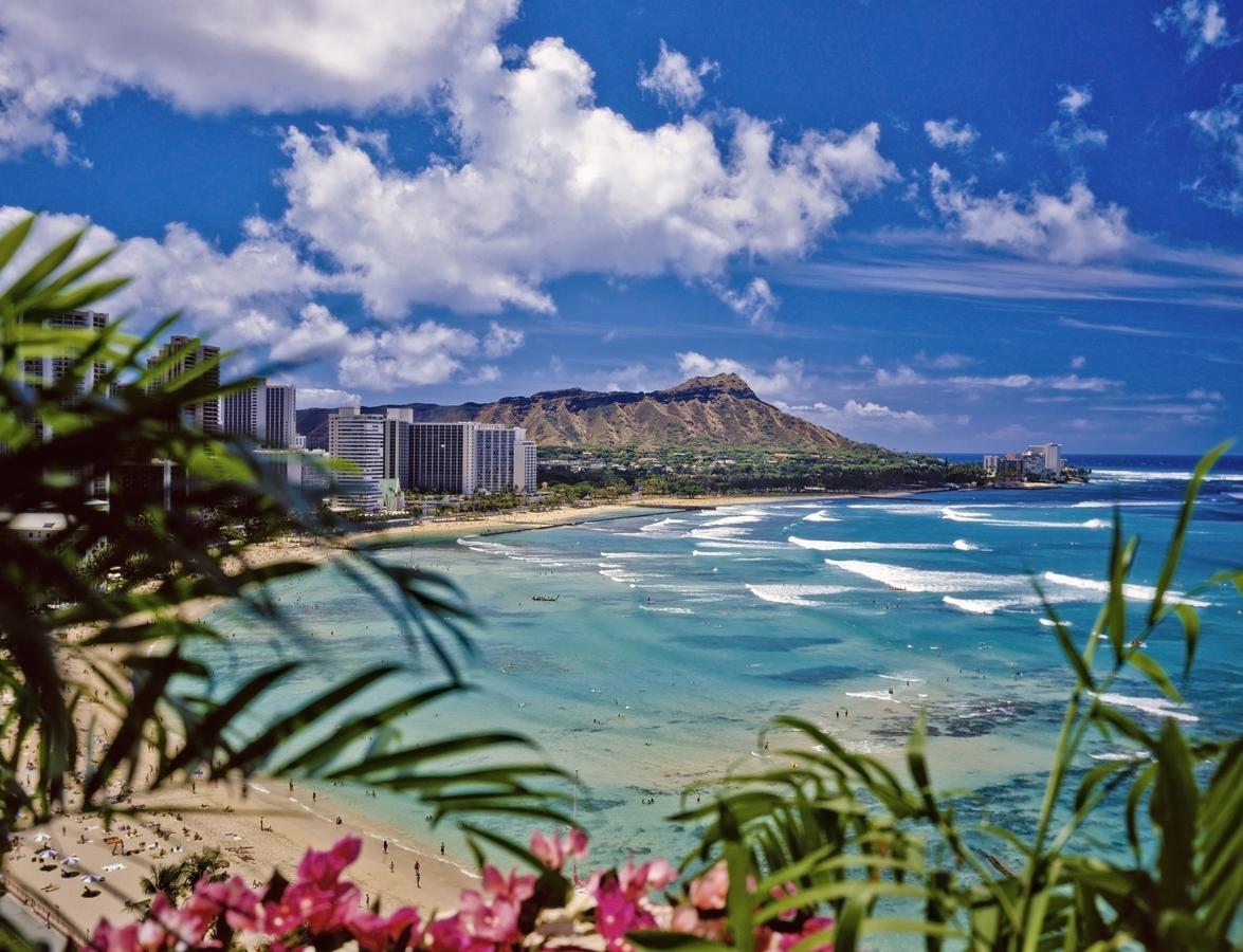 Beautiful 1Br, Steps To Waikiki Beach And Parking Χονολουλού Εξωτερικό φωτογραφία